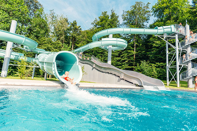 Wild Forest Slide